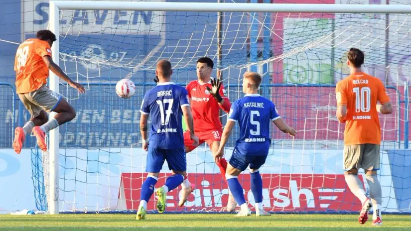  Vjeran Zganec Rogulja 