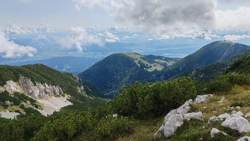 Alen Lesički/privatna arhiva