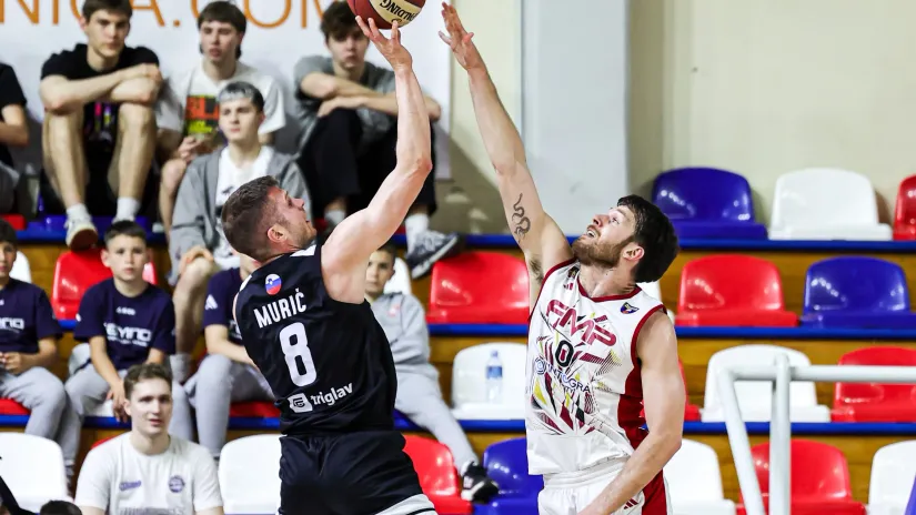 FMP/Nikola Cimburovic